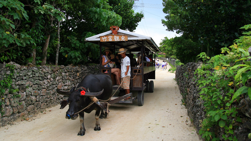 竹富島の集落と牛車