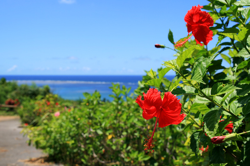玉取崎展望台の絶景に心を奪われる 沖縄旅情